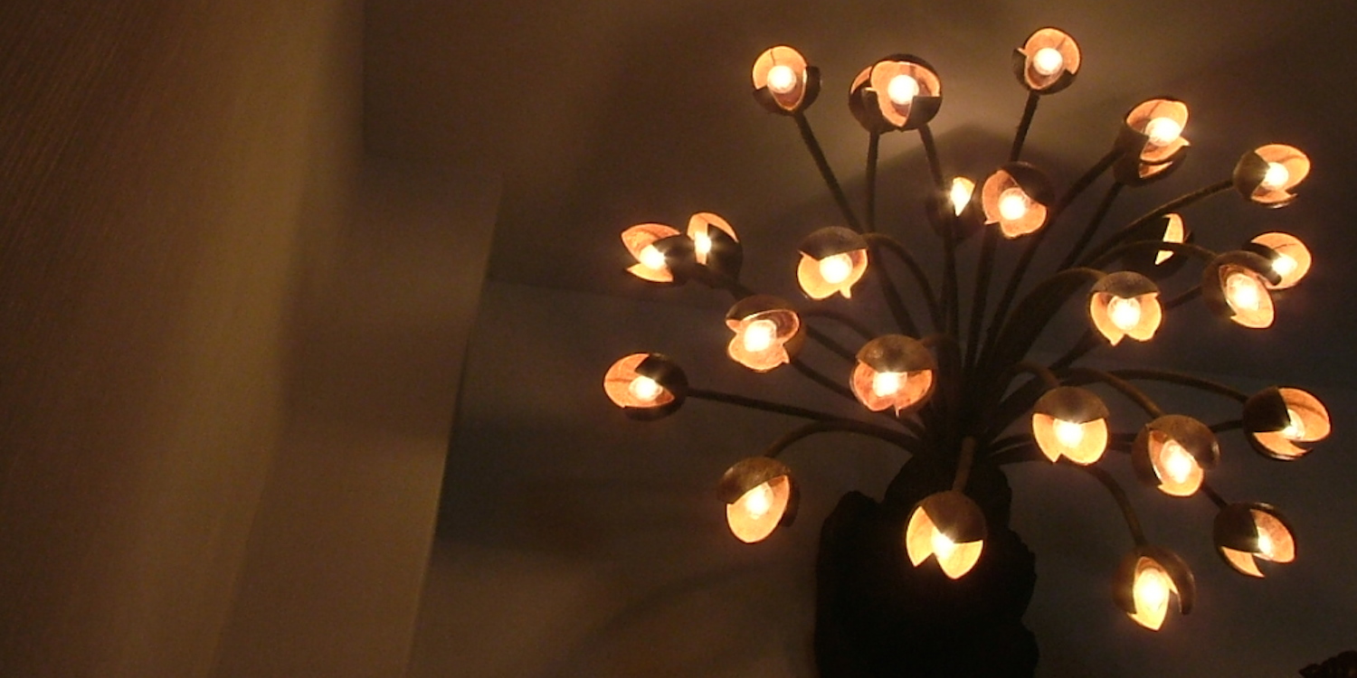 โคมไฟ กะลา ตอไม้ ของตกแต่งบ้าน ธรรมชาติ  งานศิลปะ